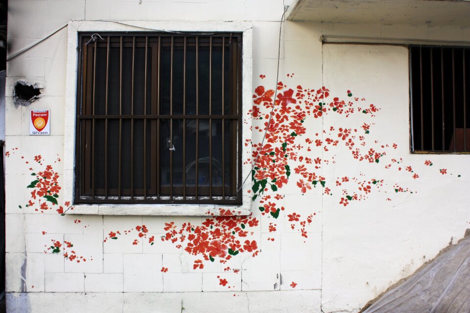 Flowers wall graffiti