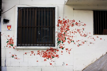 Flowers wall graffiti