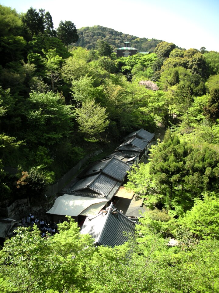 Japanese architecture scene landscape