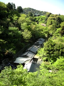 Japanese architecture scene landscape