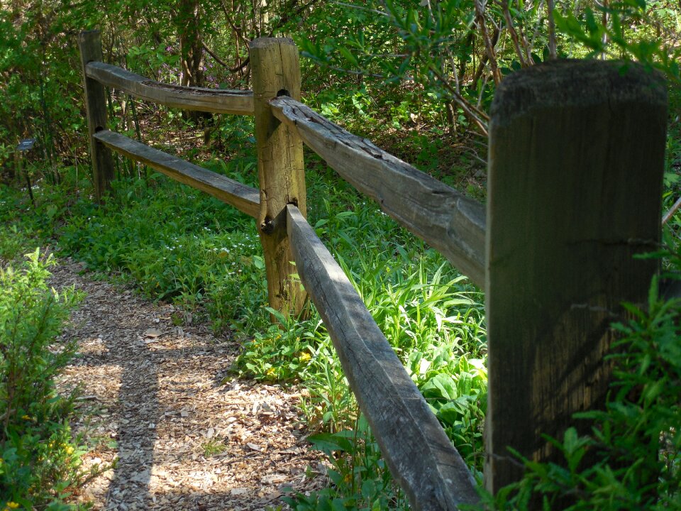 Natural old design