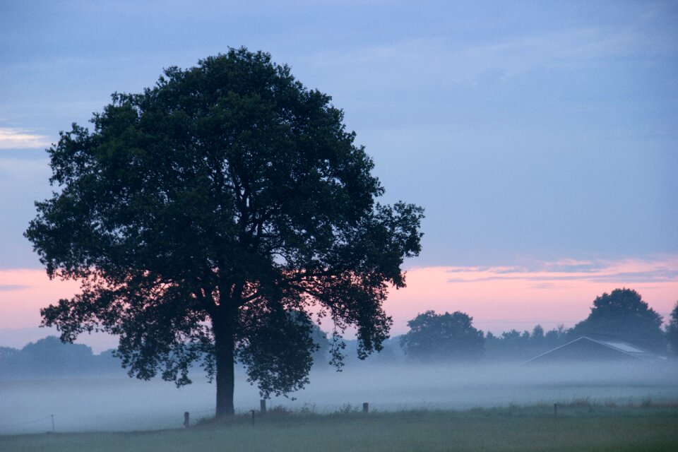 Accelerating fog landscape fog