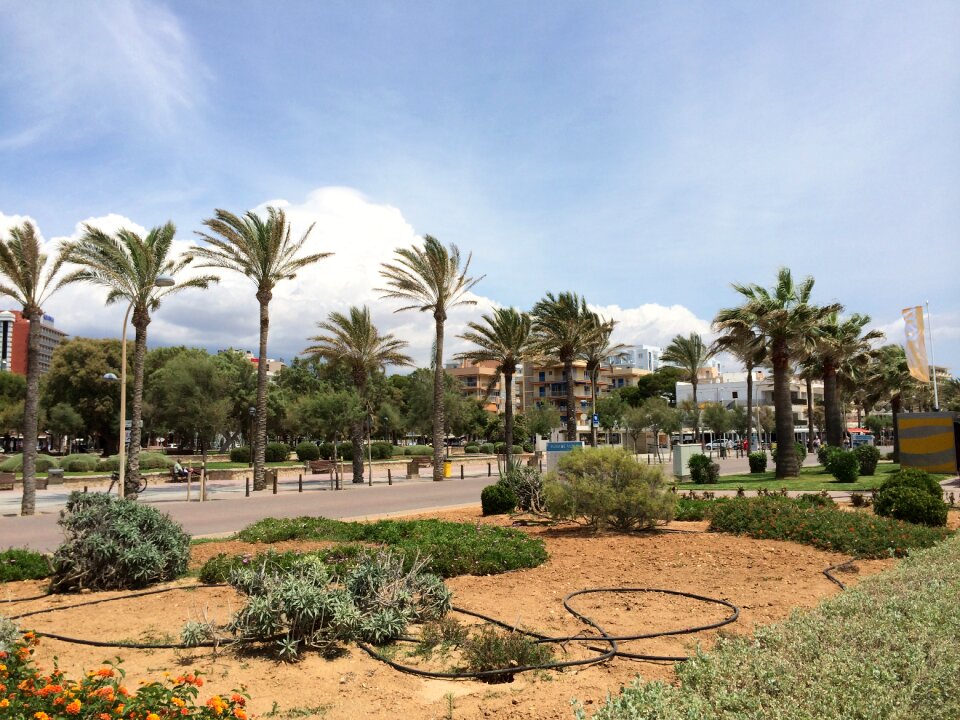 Mallorca palma island