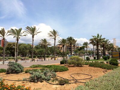 Mallorca palma island