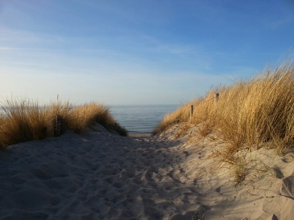 Baltic sea dunes beach