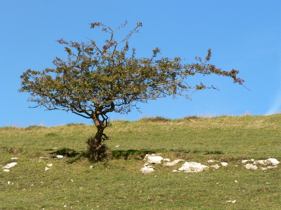 Solitary peak district