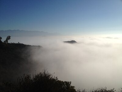 Nature fog photo