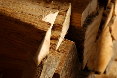 Firewood growing stock storage photo
