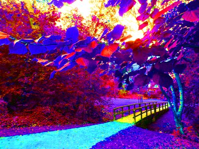 Nature park web