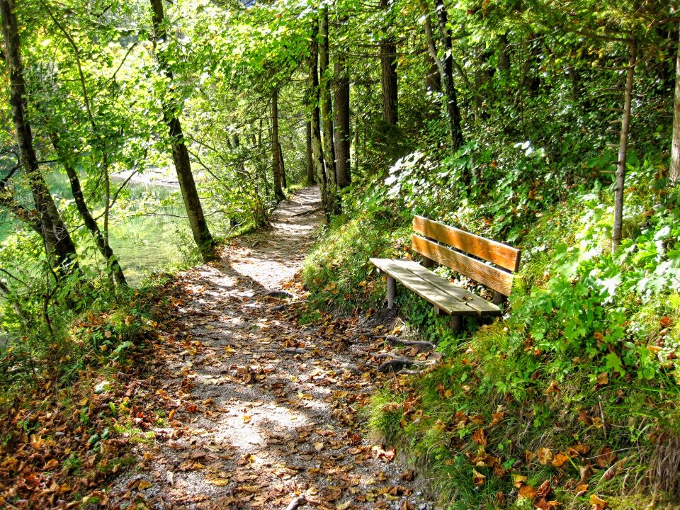 Wooden bench resting place space on the lake photo