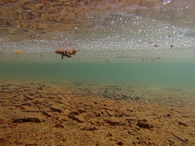 Lake diving swim