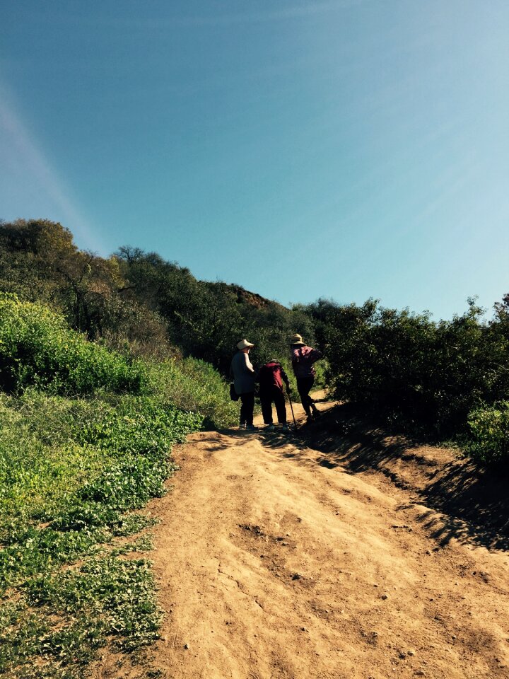 Landscape hiking