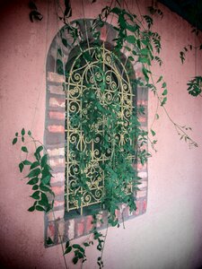 Window ornament art
