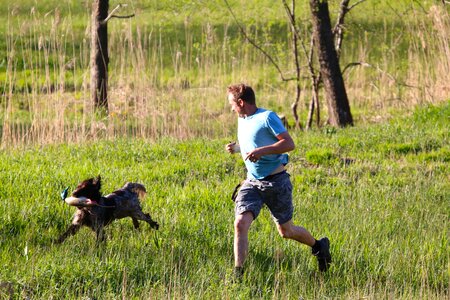 Retrieve plastic duck dog training
