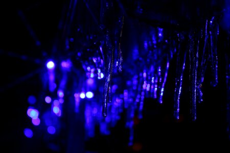 Icicle frost christmas photo