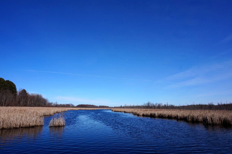 Spring landscape photo