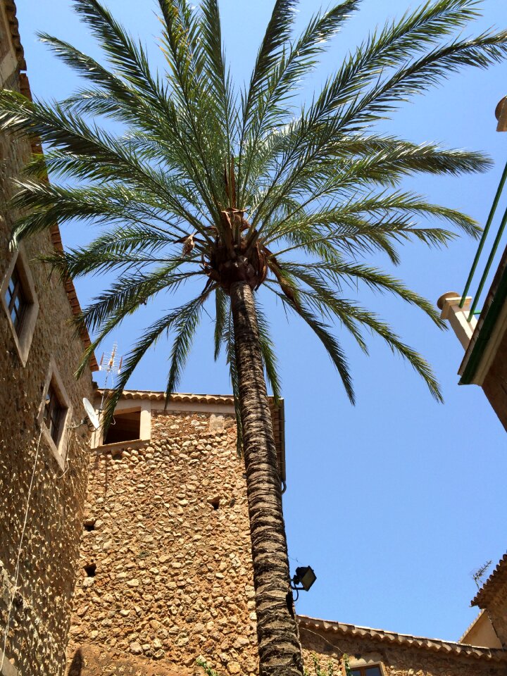 Village mediterranean architecture