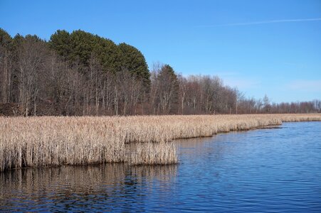 Spring landscape