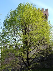Nature fortification castle