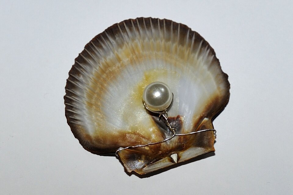 Pearl valuable nature