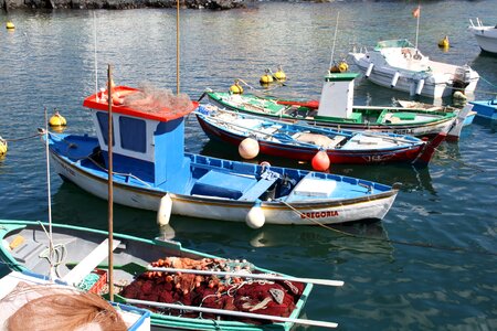 Sea fish fishing photo