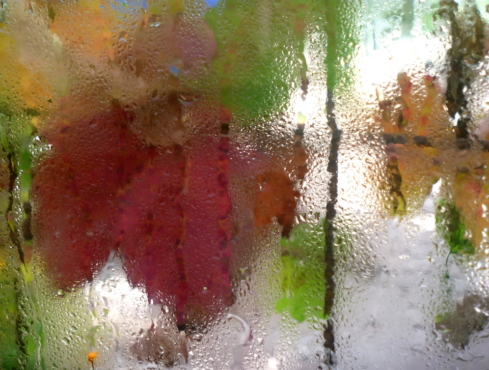 Window drops rain