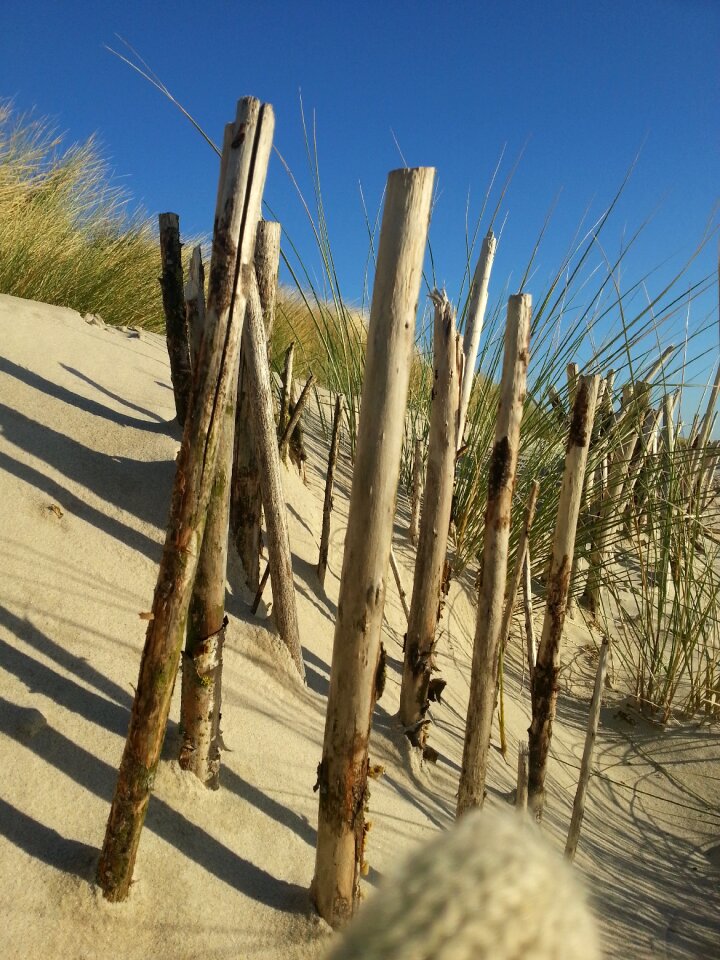 Island föhr beach north sea