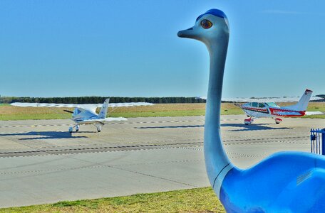 Strauss figure airfield straus mountain