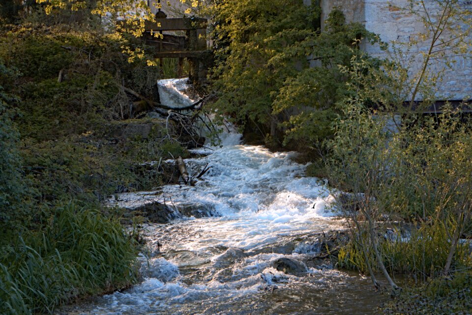 Force whirlpool torrent