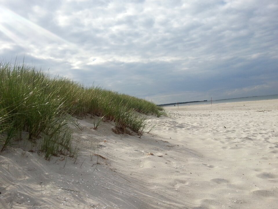Dunes beach baltic sea