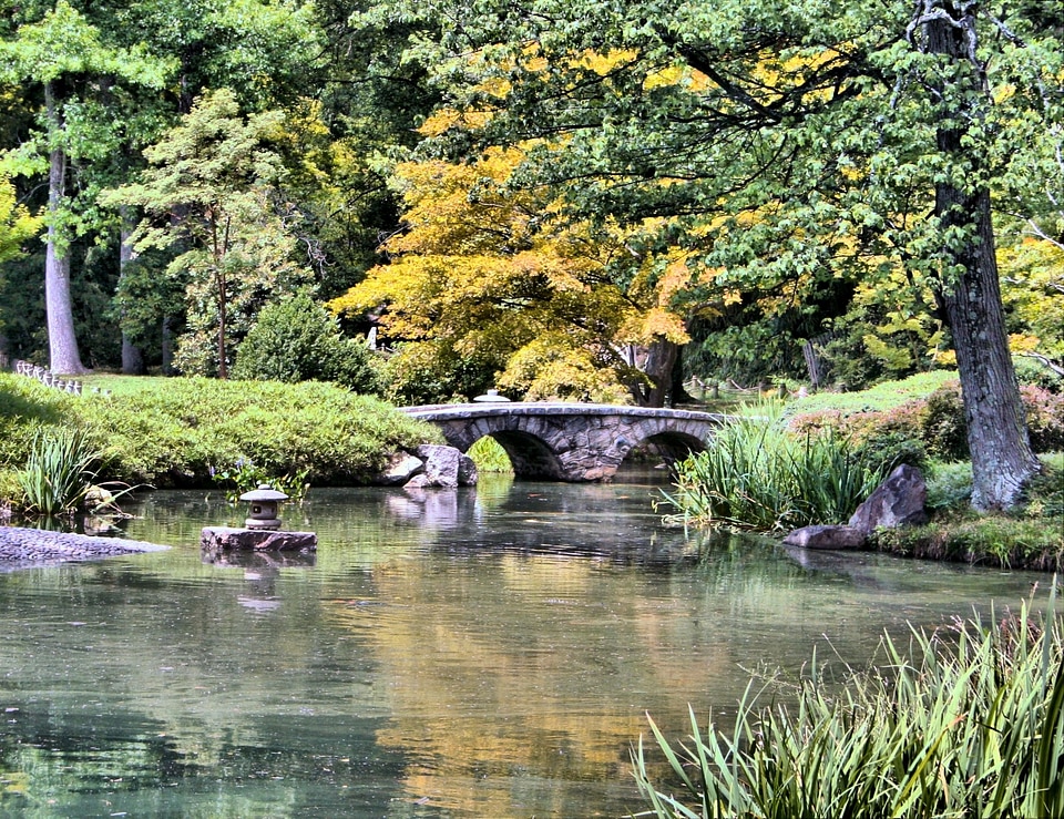 Tranquil lake natural
