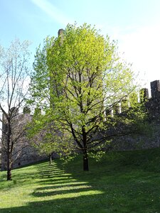Nature fortification castle