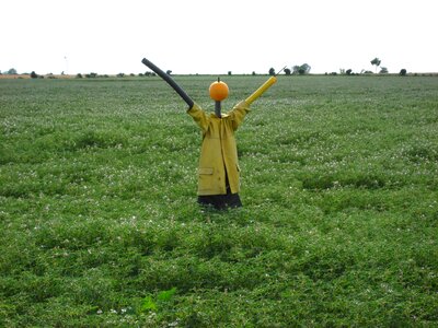 Agriculture country life figure