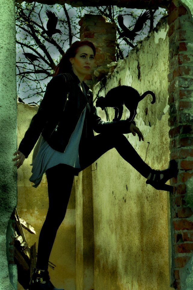 Cat black magic
