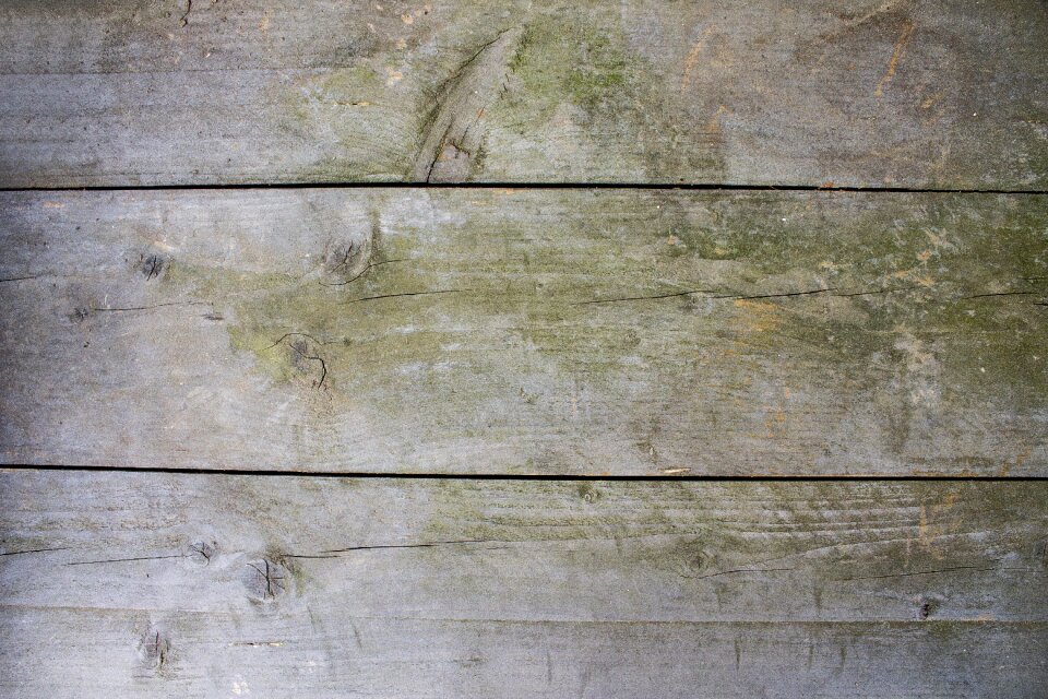 Tree tree rings knots
