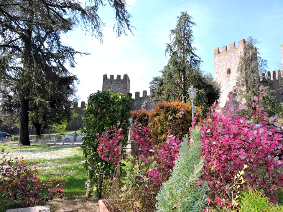 Walls colors spring