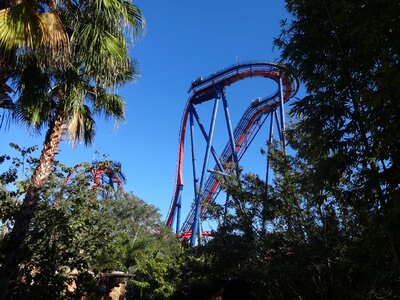 Park roller coaster fun