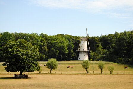 Historic mill historical holland