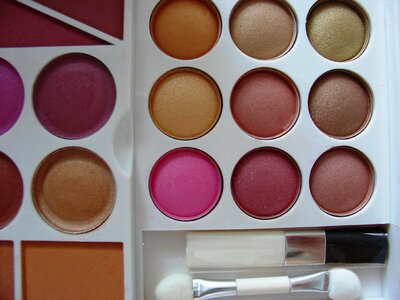 Shadows colorful the palette