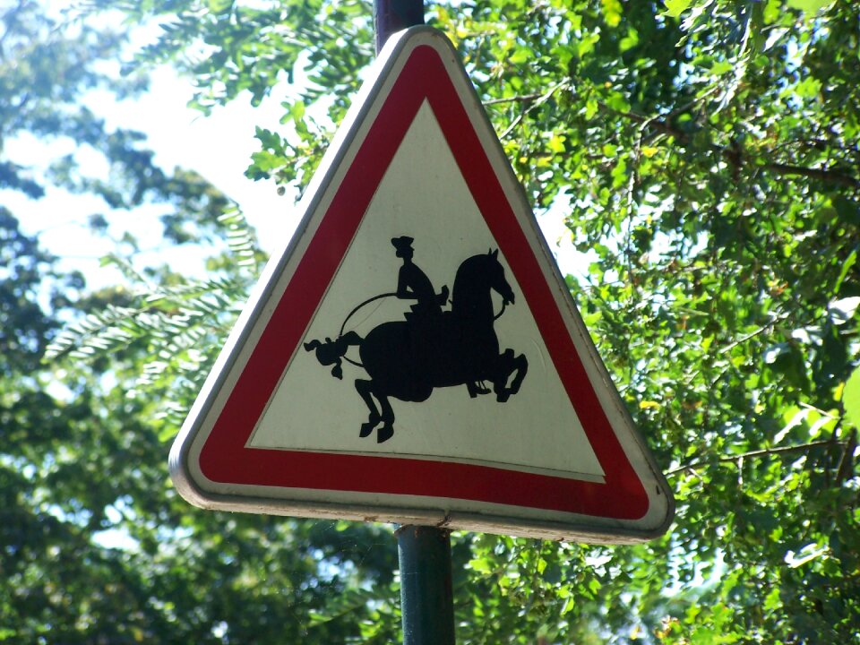 Horse equestrian signalling