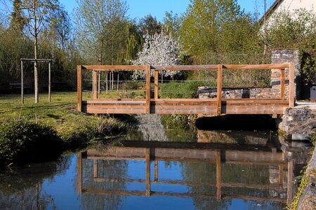 Tree passage wooden bridge