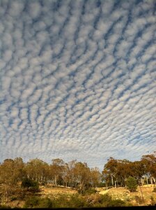 Nature outdoors cloudy
