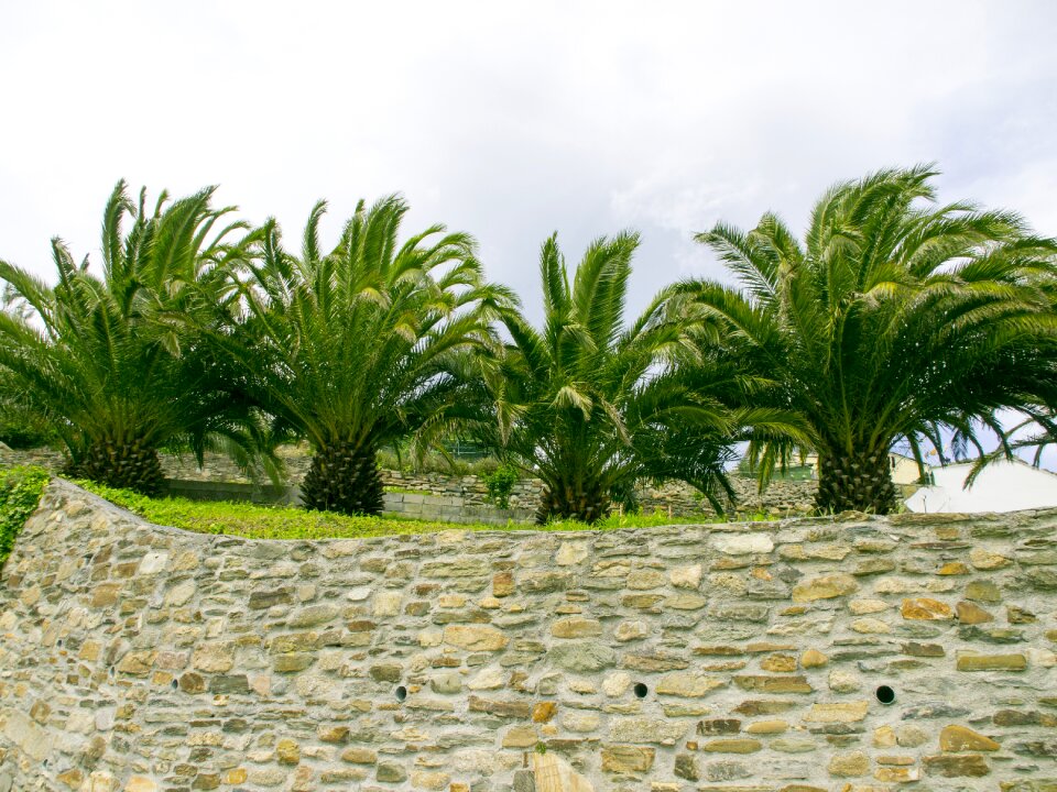 Palms garden ribadeo lugo