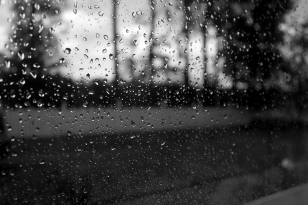 Rain spring window photo