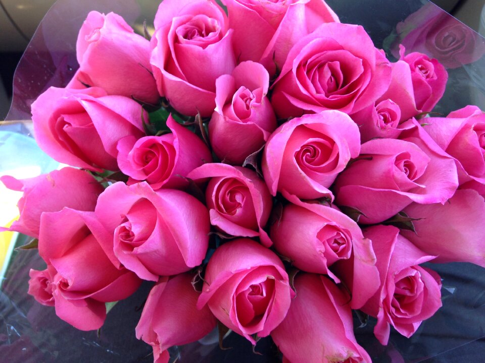 Bouquet floral love