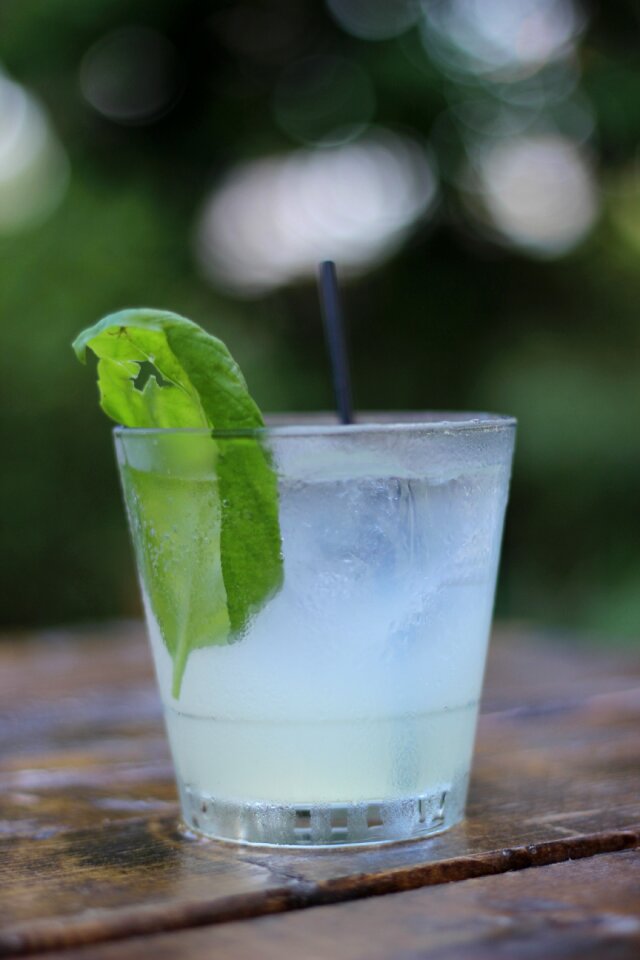 Glass liquor alcohol