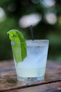 Glass liquor alcohol
