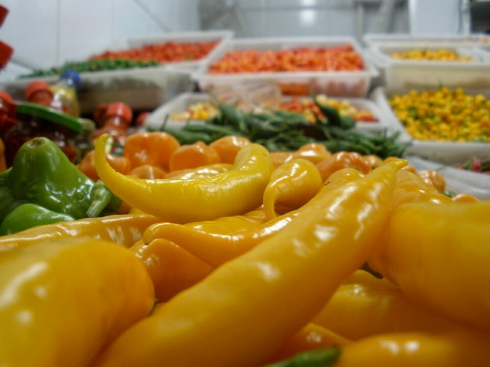 Yellow burn market