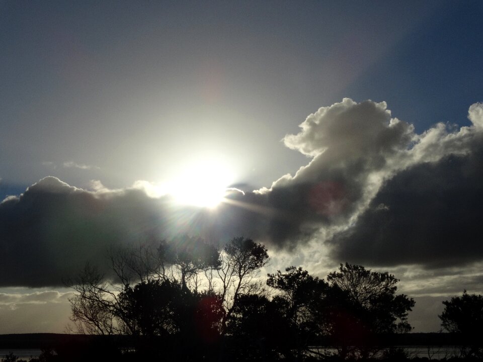 Sunshine nature