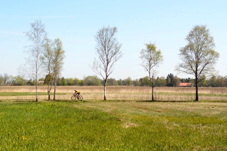 Bike wheel bicycles
